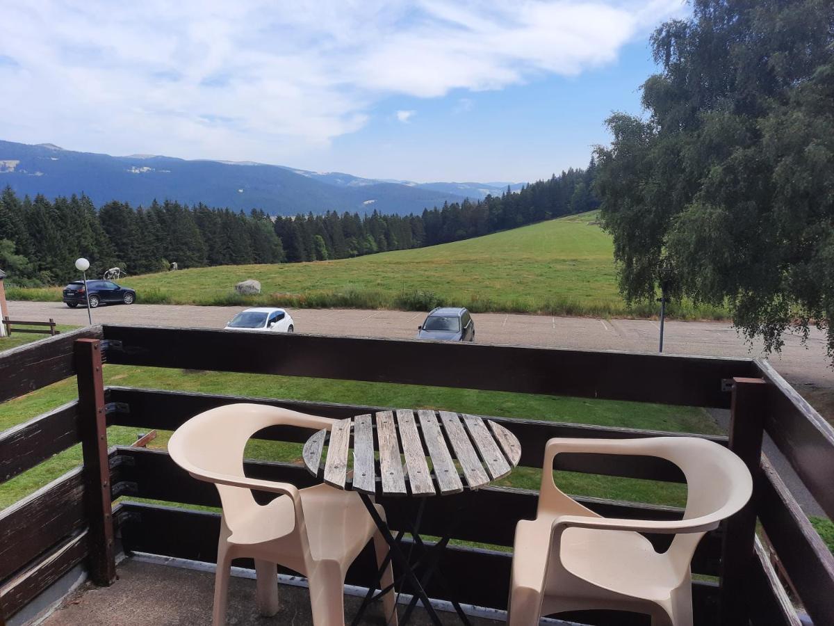 Le Lorrane Apartamento Muhlbach-sur-Munster Exterior foto